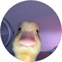 Gabriel Pim profile picture